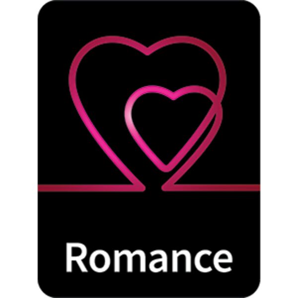 Flare Classification Labels