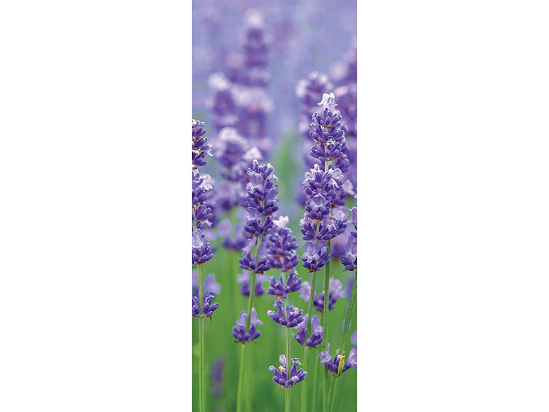 Scented Bookmarks - Image 10