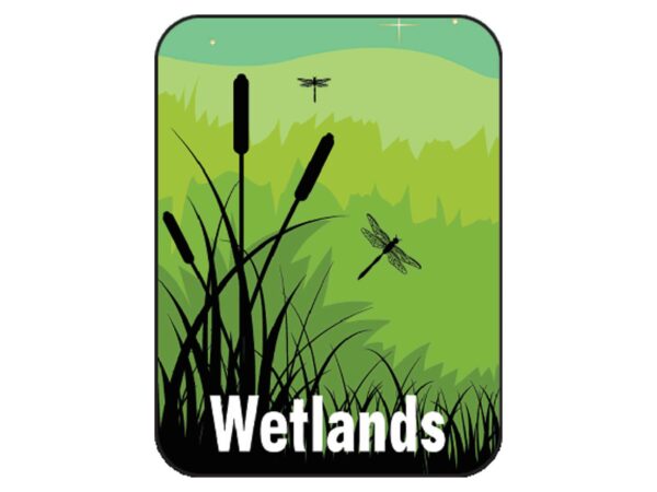 Non-Fiction Classification Labels